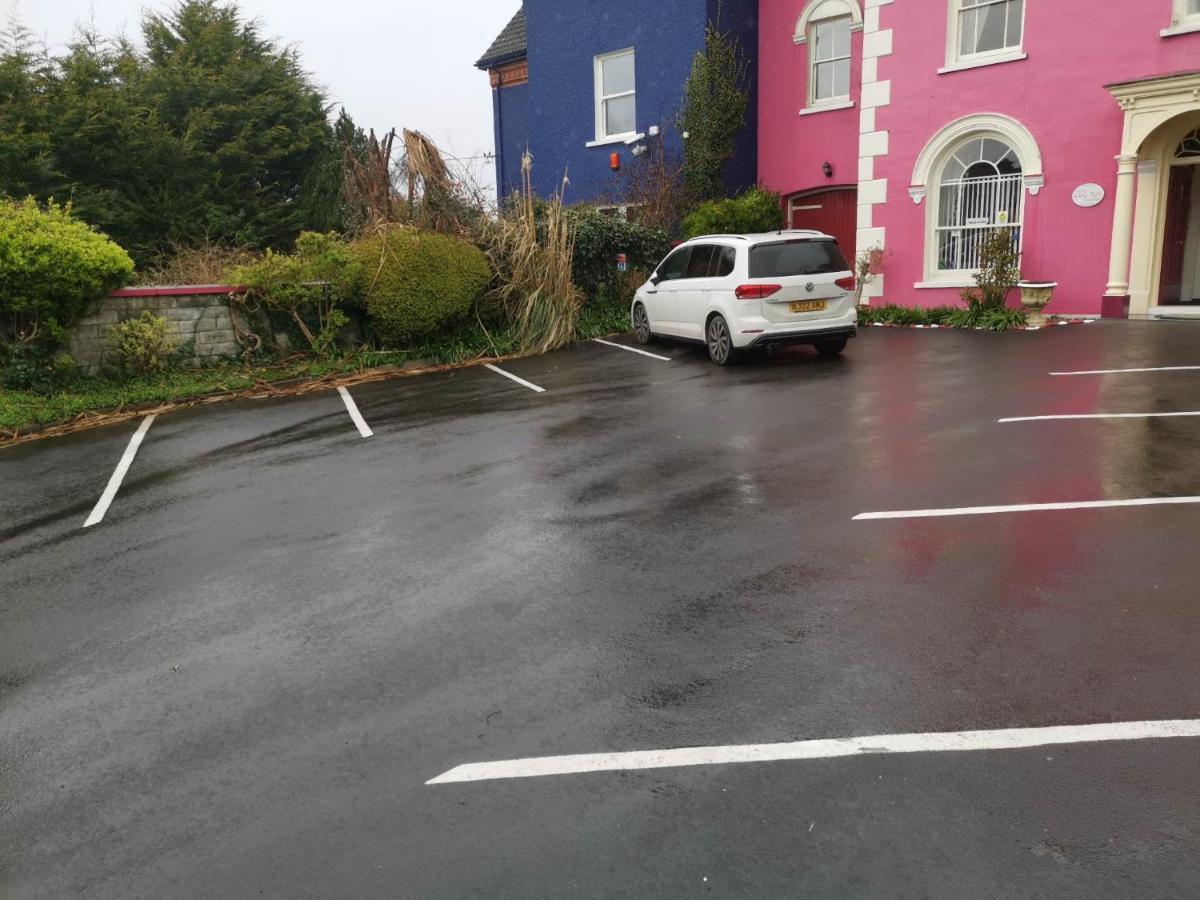 Llety Teifi Guest House Кардиган Екстериор снимка